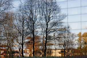Brooktree Office Park